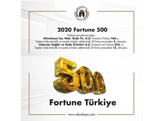 FORTUNE 500 – 2020