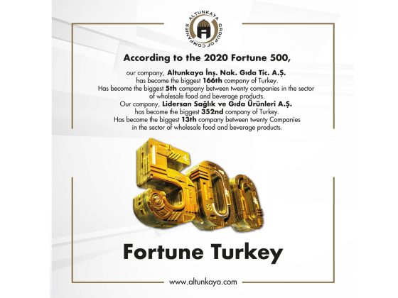 FORTUNE 500 – 2020