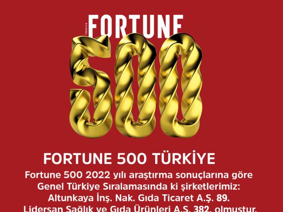 FORTUNE 500 – TÜRKİYE