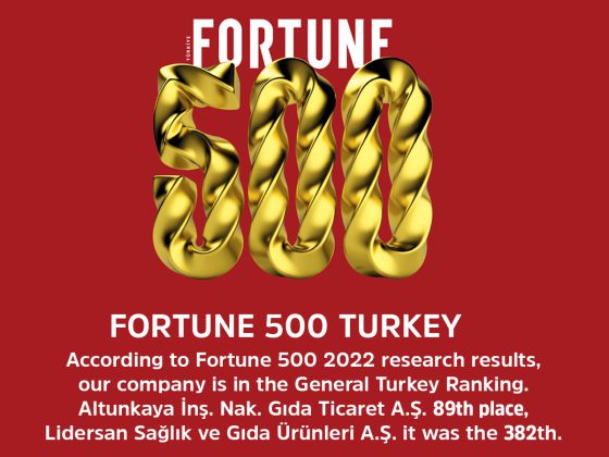 FORTUNE 500 – TURKEY